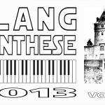 Die „klangSYTNHese“ : elektronische Musik im historischen Gemäuer