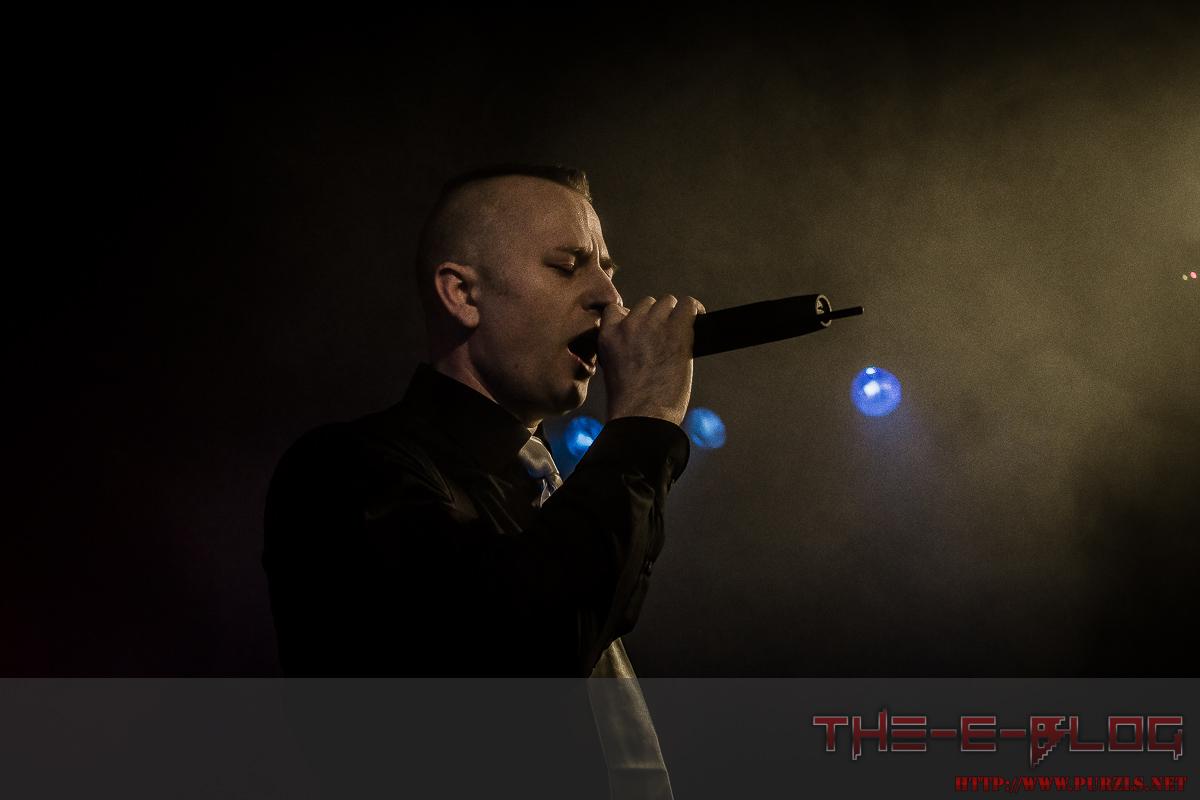 Featured image for “Muscles on the Move”