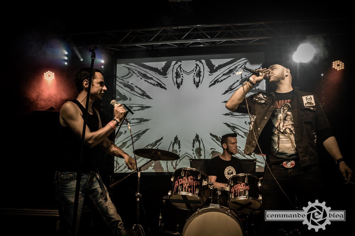 Featured image for “A.D.A.C. 8286 (FT XII)”