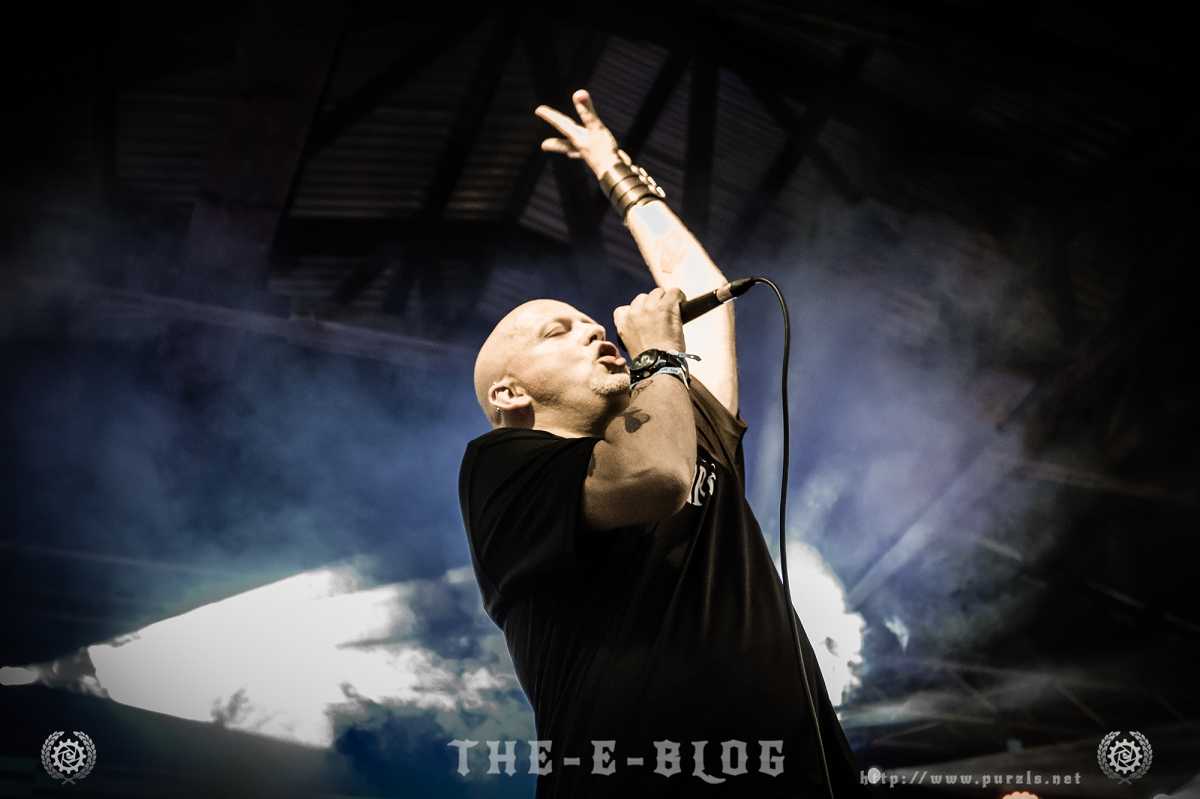 Featured image for “Leaether Strip”