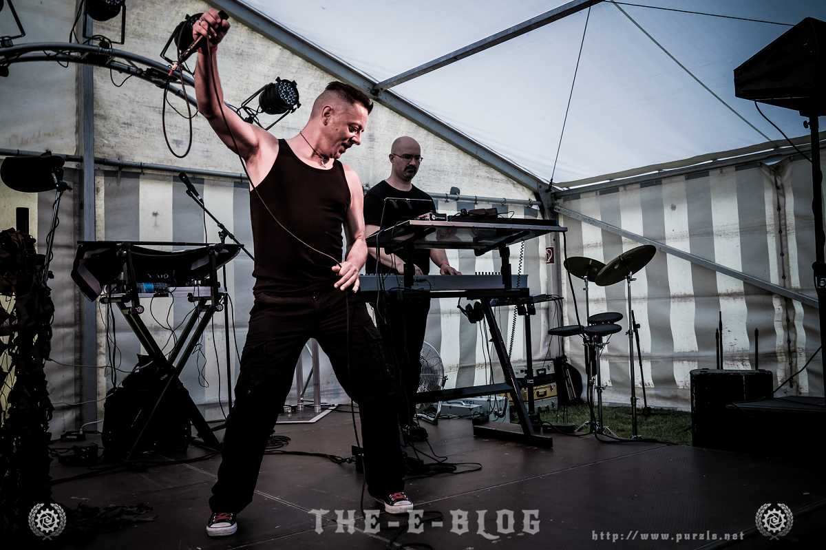 Featured image for “Kittelmann”