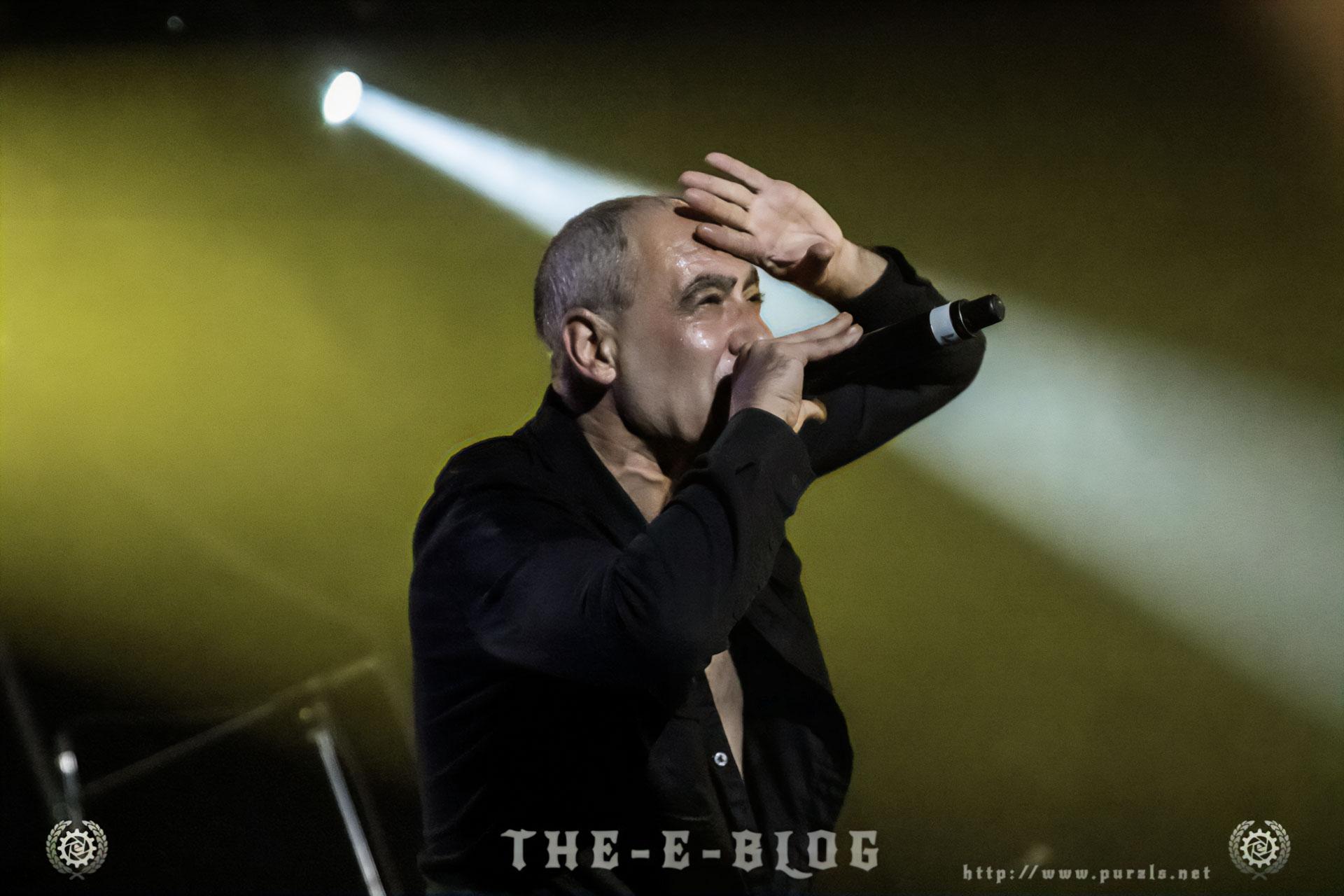 Featured image for “DAF @ Flat and Boots III Festival”